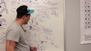 ninja nerd ایمونولوژی قسمت پنجم (ایمنی ذاتی)