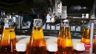 دستگاه تری بلوک شیشه درب ریپ کپ توان صنعت | ۰۹۱۵۲۰۰۰۰۵۰