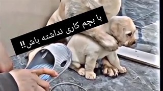 هیچی مادر نمیشه.......