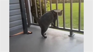 نقش حد ضرر در معاملات