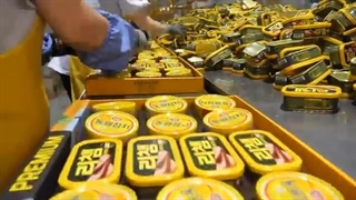 فرایند تولید کنسرو ماهی در کره جنوبی - موج کره ای