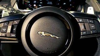 جگوار 2024 را ببینید