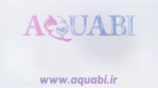 واتر پمپ آکواریوم  سوبو مدل wp-400s