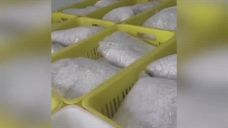 تولید و ارسال قارچ