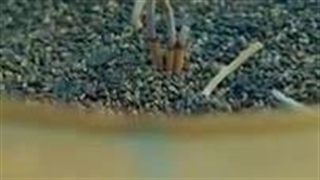 یادی‌کنیم‌از‌آقای‌ملکه