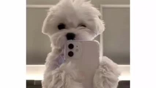 یکم کیوت ببنید  