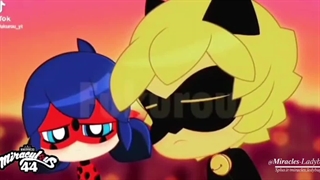 میراکلس چیبی (موضوع : کشف هویت )