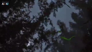 انیمه شکارچی شیطان قسمت ۸ زیرنویس فارسی