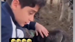 حتی واف واف هم نمیکنه