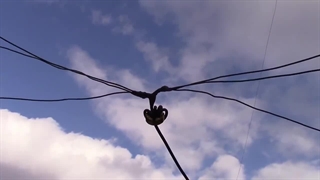 Shortwave Crystal Set!