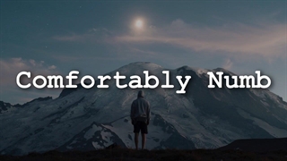 آهنگ Comfortably Numb از Pink Floyd همراه متن