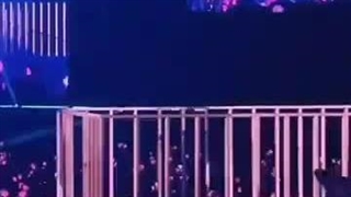 کنسرت بلک پینک