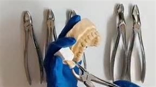 آموزش کامل شناخت فورسپس های فک بالا از ابزارهای دندانپزشکی