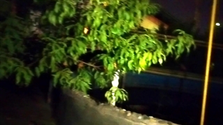 دیده شدن جن در شرکت نفت ساری