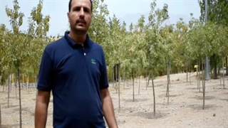 چرا حجاب؟ بخش دوم - برنامه اینترنتی حرف حساب قسمت چهاردهم