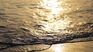 به خواست هانیای عزیزم و بقیه ی رفقای گل نماشا ییم {رمان کره ای پیانیست}(پارت نهم)[گزارش نشه لطفا]