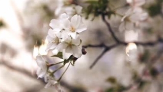 {رمان کره ای پیانیست}(پارت دهم قسمت دوم)[گزارش نشه لطفا]