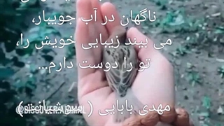 ویدیو شعر، مهدی بابایی ( سوشیانت )
