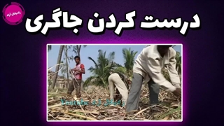 عجیب ترین غذاها که عمدی به روش غیر بهداشتی در جهان پخت می‌شوند