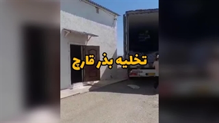 تخلیه بذر قارچ