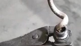 گیرکردن‌مار.درلوله‌آب