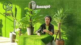 روش نگهداری پتوس برگ پهن | سانا گل