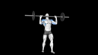 سرشانه هالتر از جلو