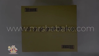 آشنایی با سوئیچ سیسکو مدل WS-C2960-24PC-L