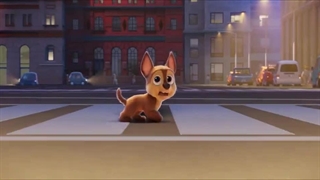 سینمایی سگ های نگهبان۱۴۰۱ به زبان انگلیسی