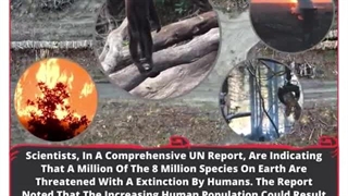 Earth's Species Crisis: A Million At Risk Of Extinction