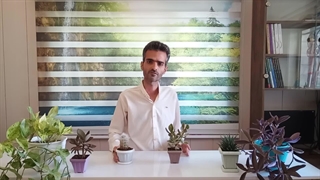 اهمیت و نقش نور در رشد و حیات گیاهان آپارتمانی