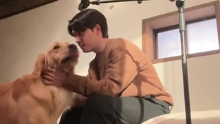 چالش جدید آهنگ Somebody توسط دی او و یوشیک (اسم سگست)