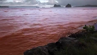 Above the Earth, Below the Surface: Landsat's Role in Monitoring Water Quality