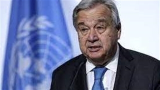 گوترش در نشست شورای امنیت سازمان ملل: بارها خواستار آتش بس شدیم