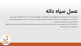 خواص درمانی عسل سیاه دانه