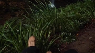 دنیا رفته شعر جدید بنویسه…